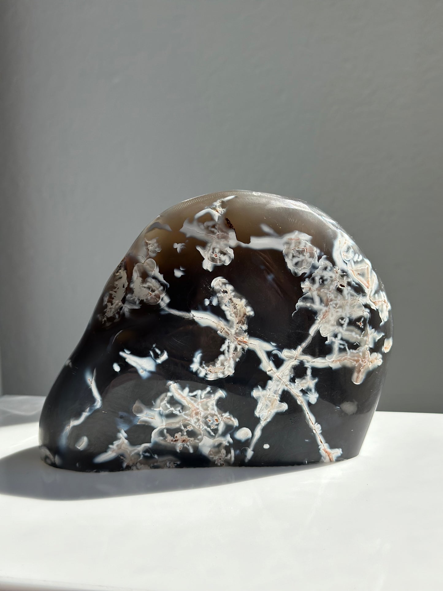 Orca Agate | Freeform