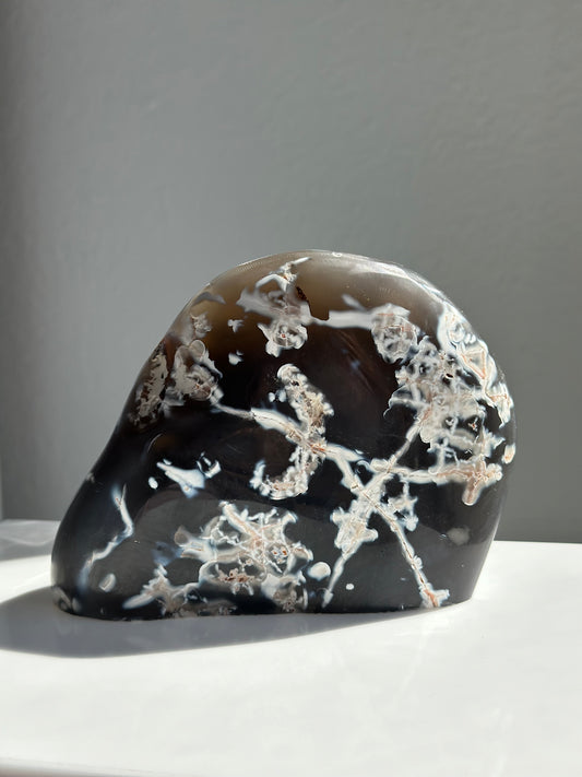 Orca Agate | Freeform