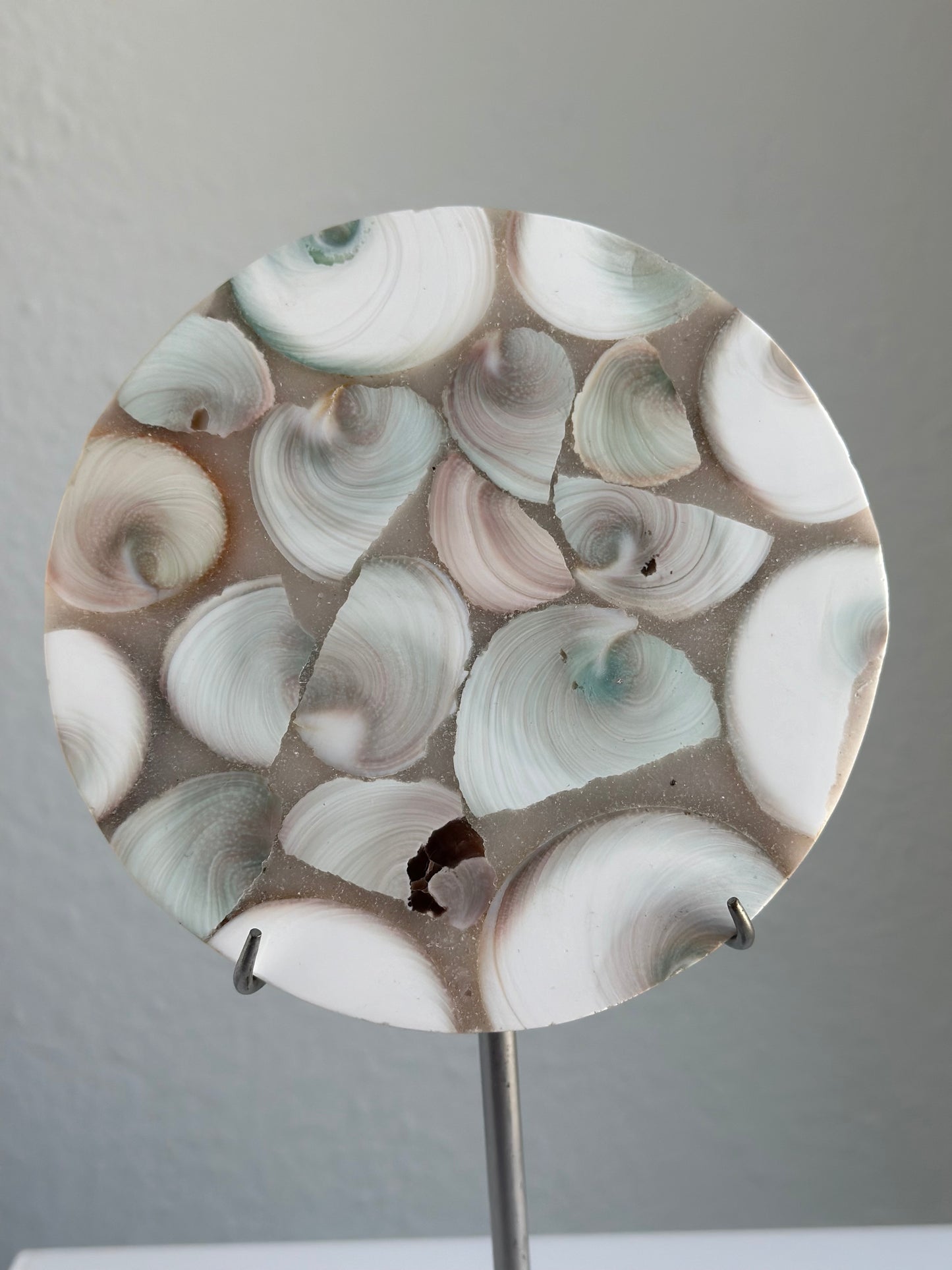 Shiva Shell | Slab 01