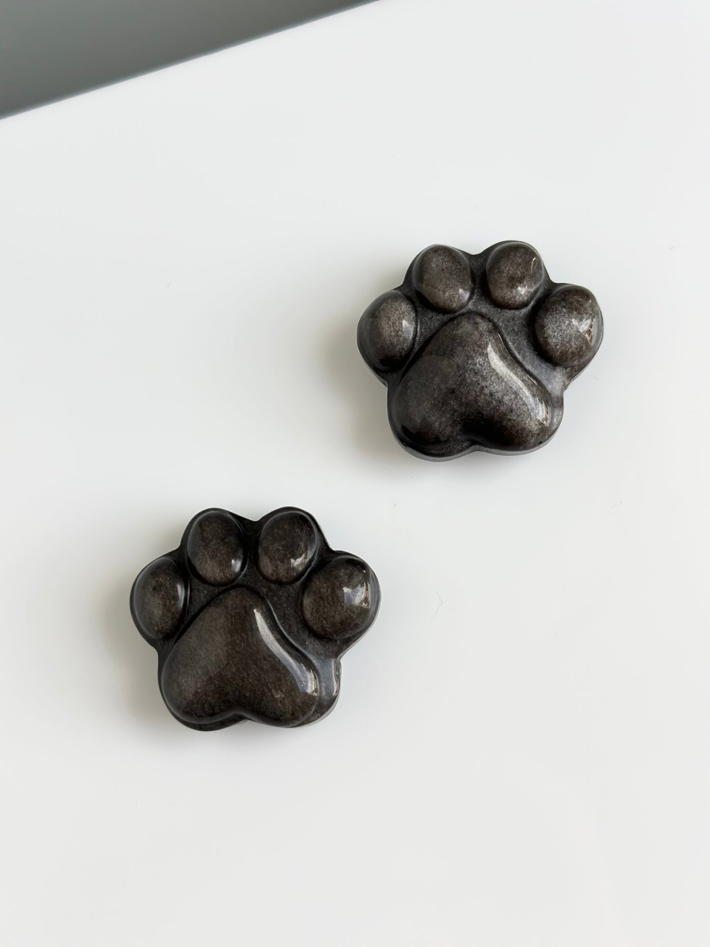 Obsidian Silver Sheen | Paw