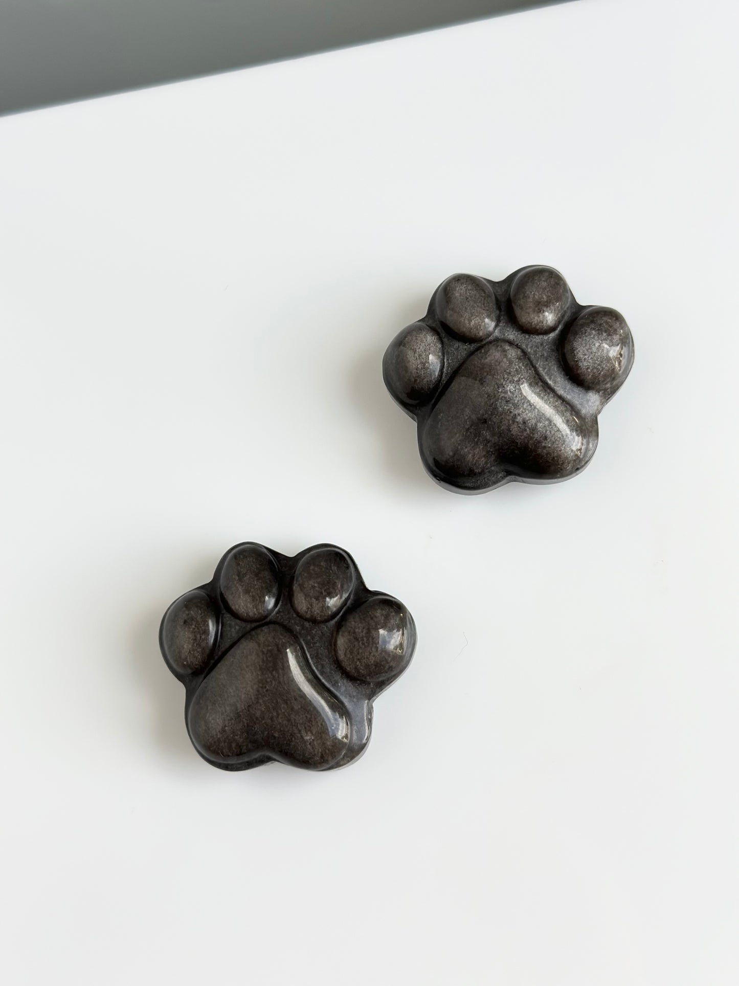 Obsidian Silver Sheen | Paw