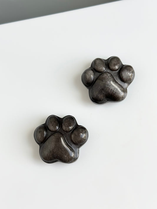 Obsidian Silver Sheen | Paw