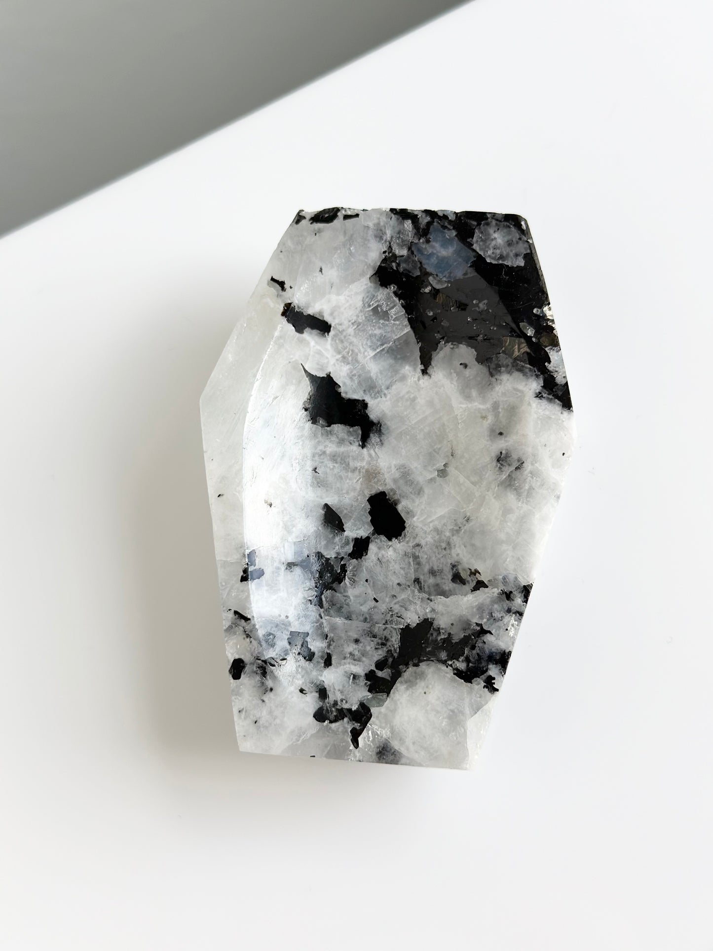 Rainbow Moonstone | Coffin Trinket Dish 02