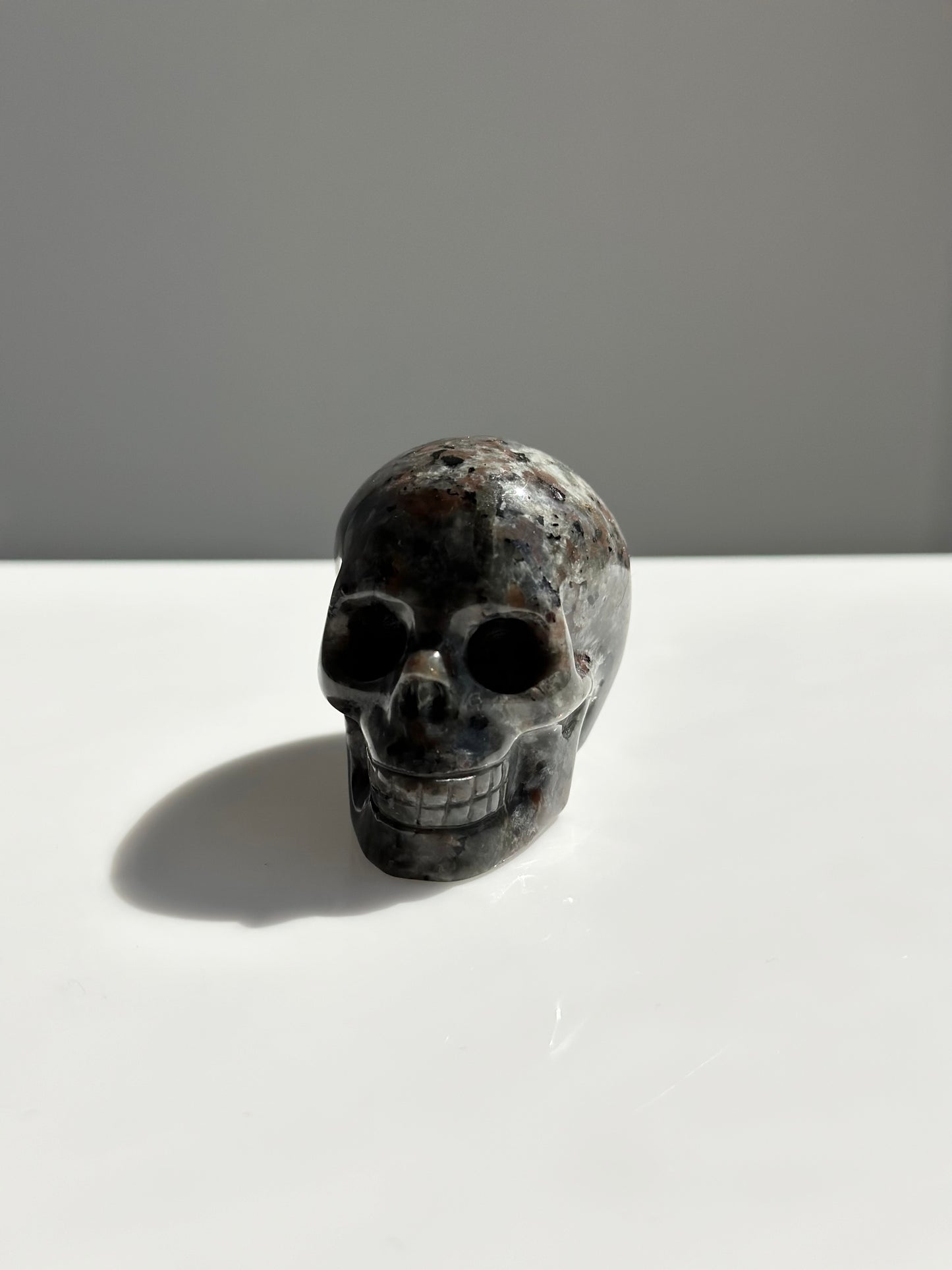 Yooperlite | Skull