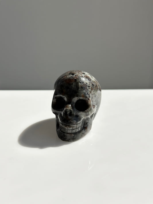 Yooperlite | Skull