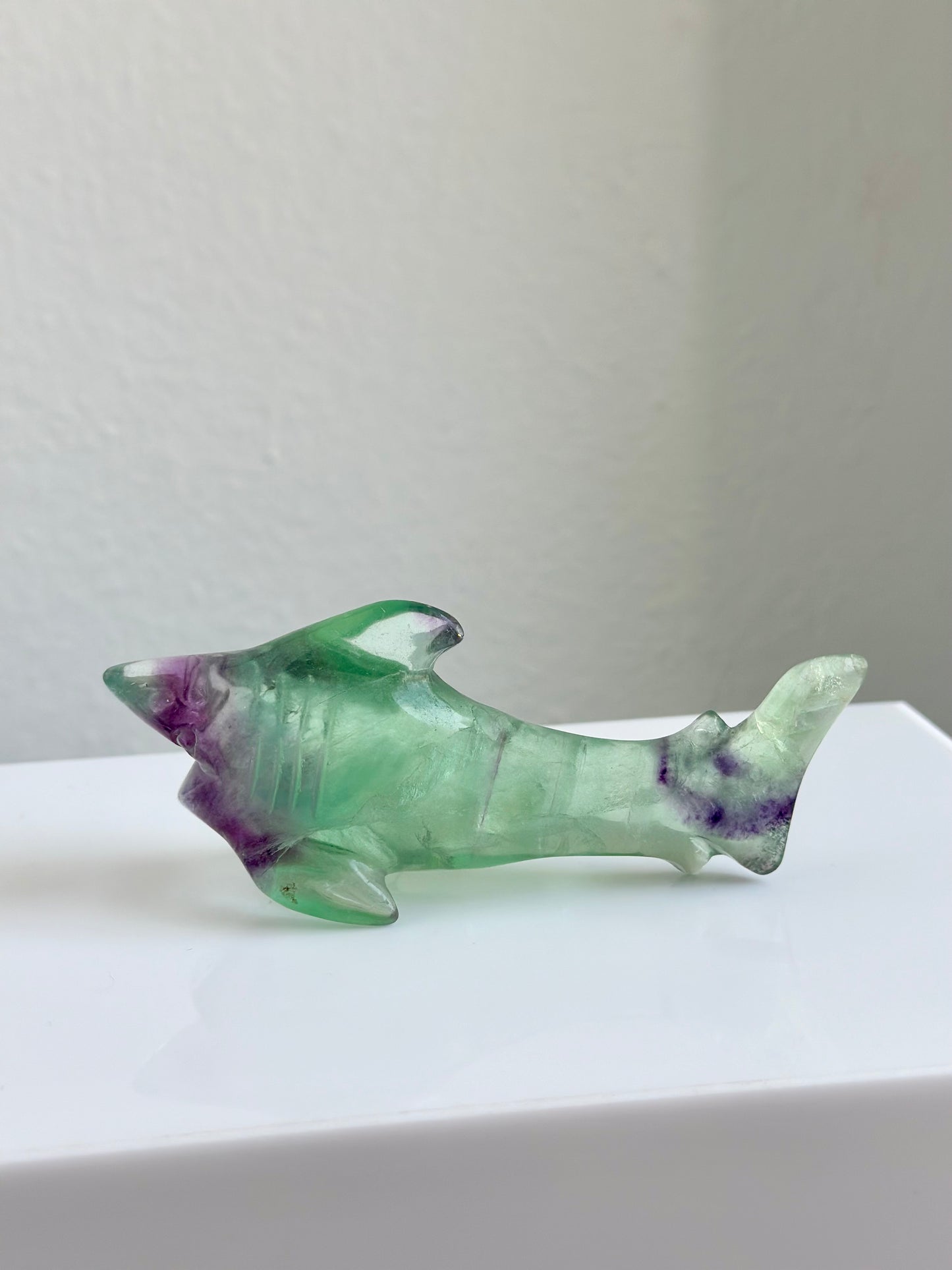 Fluorite | Shark