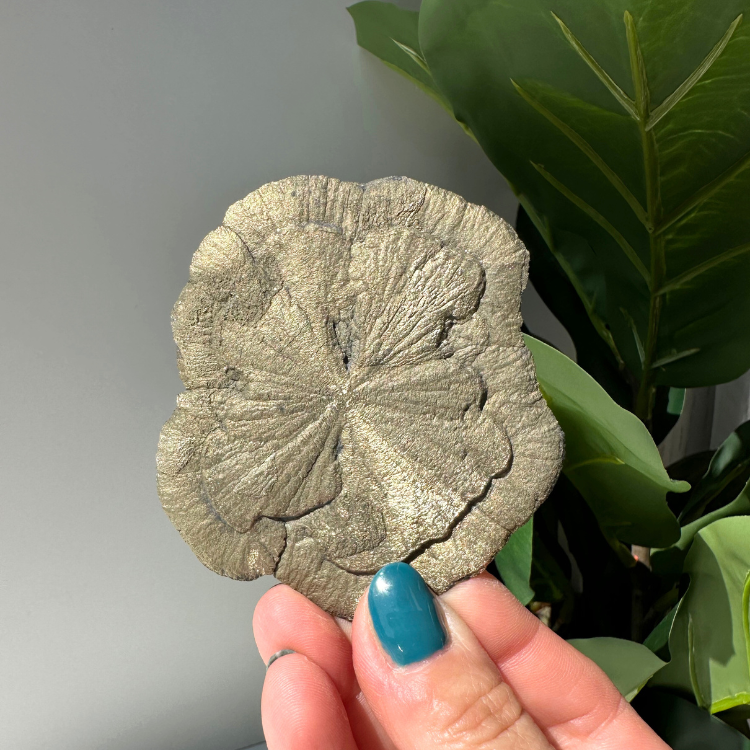 Pyrite Sun 01