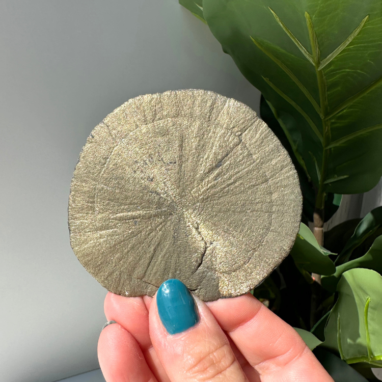Pyrite Sun 02