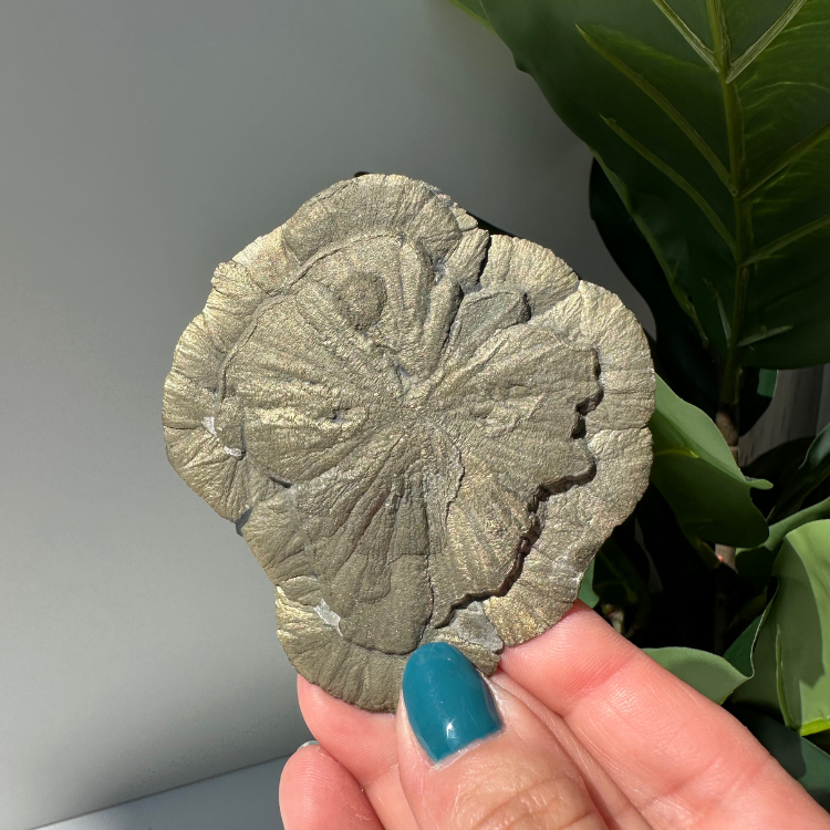 Pyrite Sun 03