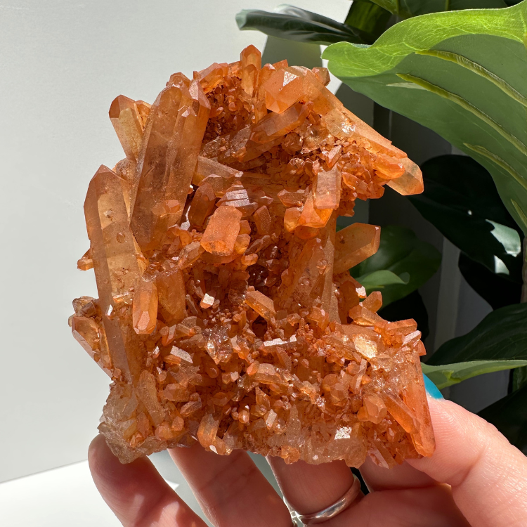 Tangerine Quartz | Cluster 01