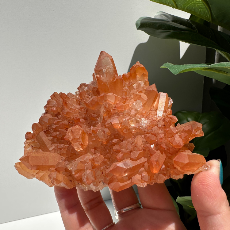Tangerine Quartz | Cluster 02