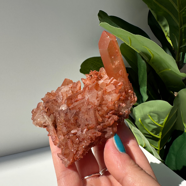 Tangerine Quartz | Cluster 03