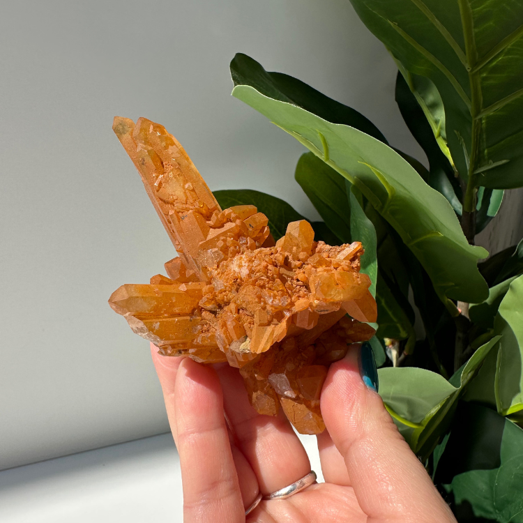 Tangerine Quartz | Cluster 04