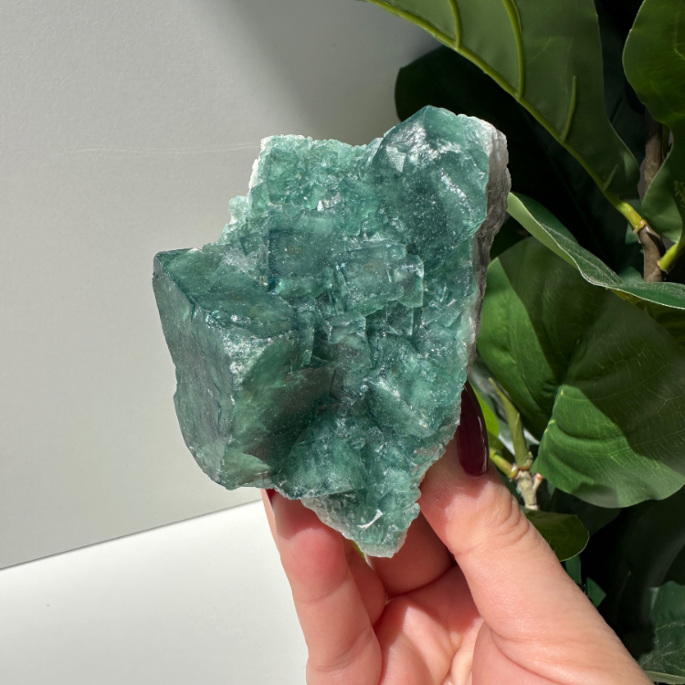 Green Fluorite 02 | Madagascar