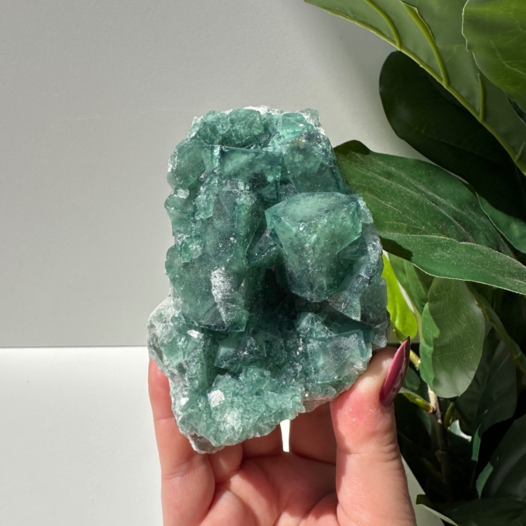 Green Fluorite 01 | Madagascar