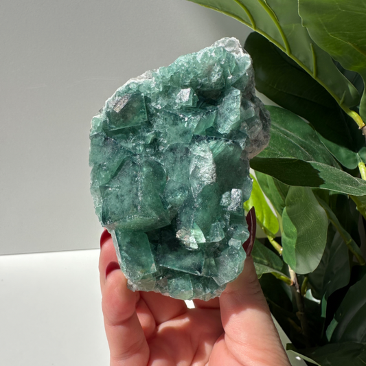 Green Fluorite 01 | Madagascar