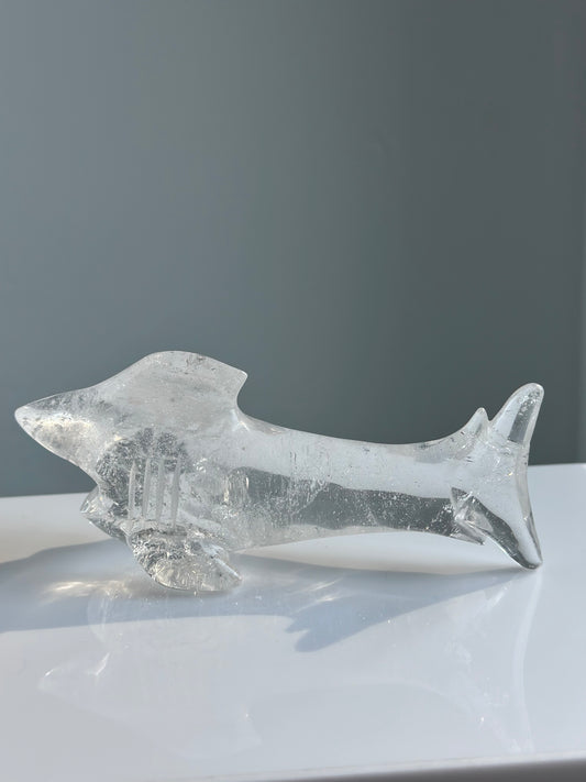 Clear Quartz | Shark