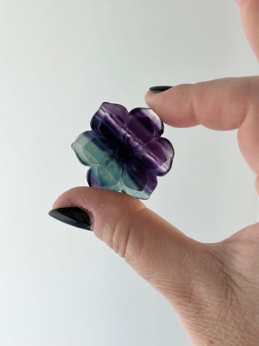 Fluorite | Flower