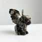 Picture Jasper | Gargoyle 02