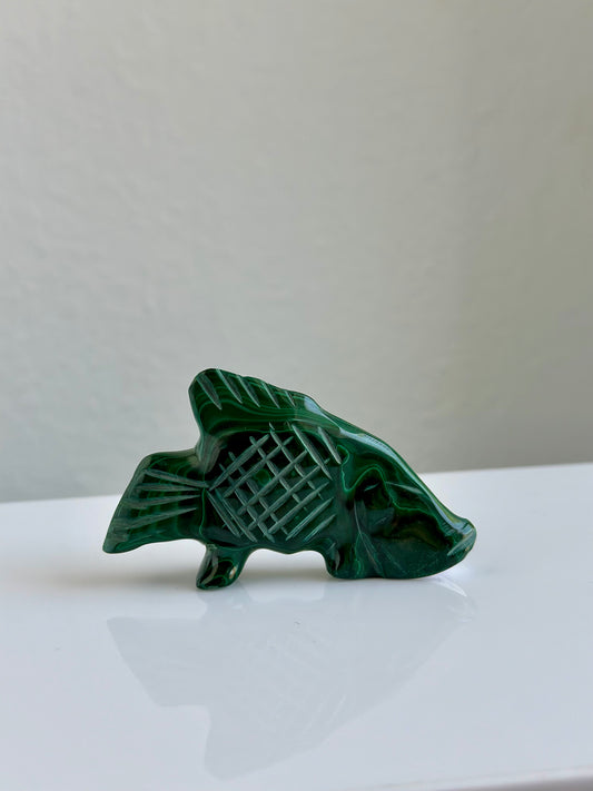 Malachite | Fish