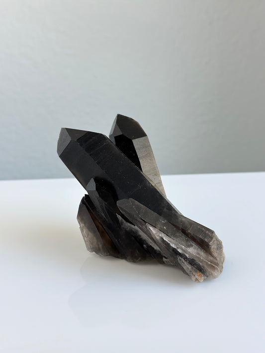 Black Quartz | Cluster