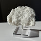 Apophyllite Crust | Raw