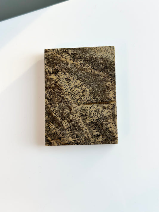 Picture Jasper | Small Slab