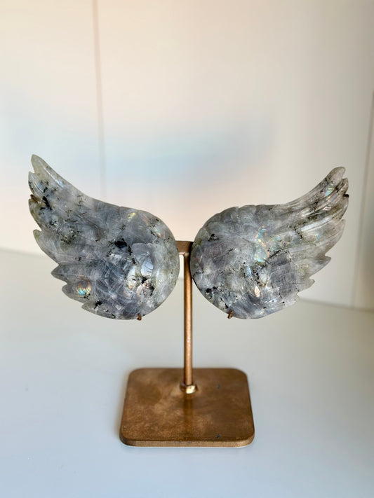 Labradorite | Wings