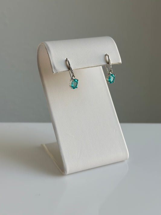 Paraiba Topaz Faceted | Earrings