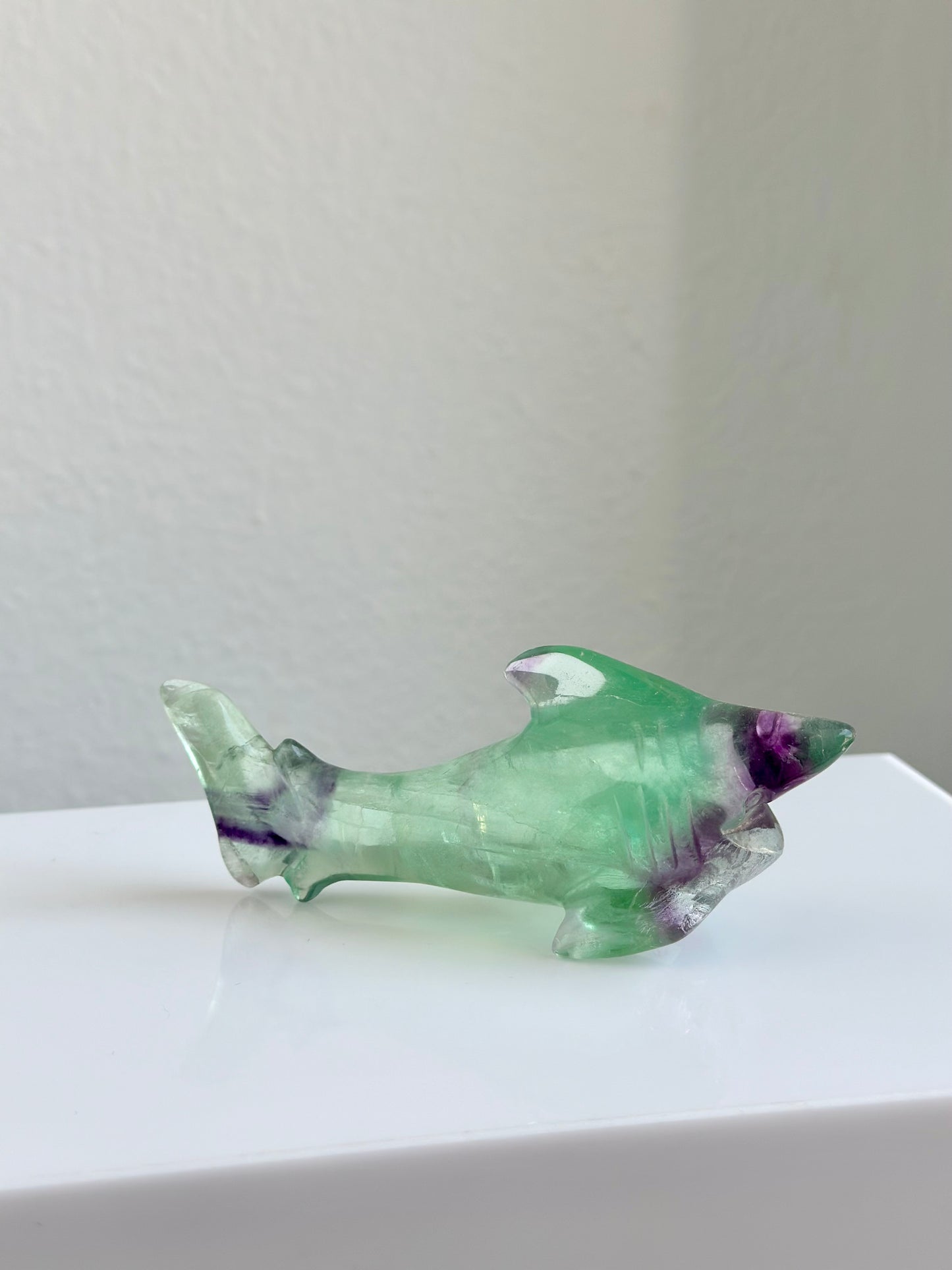 Fluorite | Shark