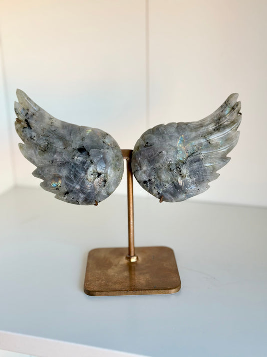 Labradorite | Wings