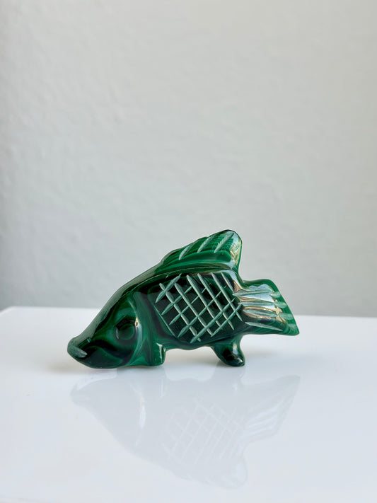 Malachite | Fish