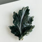 Moss Agate | Leaf 02