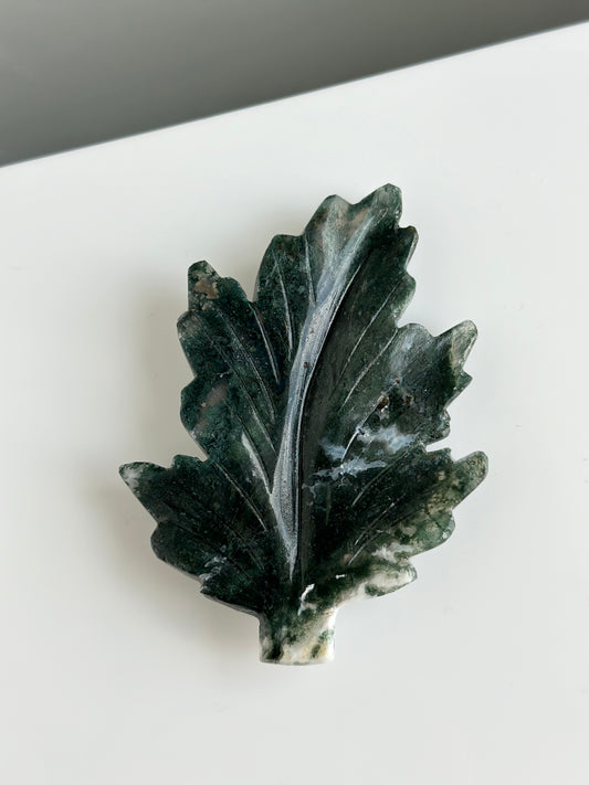 Moss Agate | Leaf 02