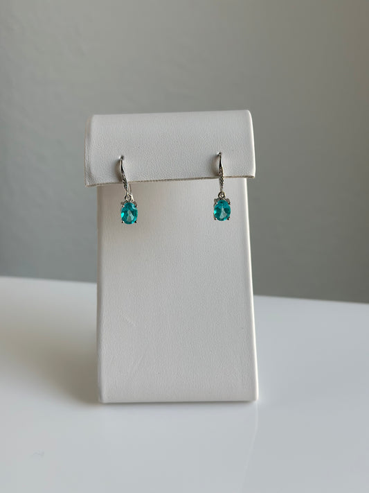 Paraiba Topaz Faceted | Earrings