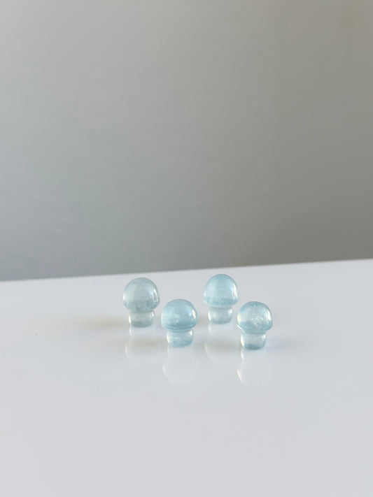 Aquamarine | Mirco Mini Mushrooms