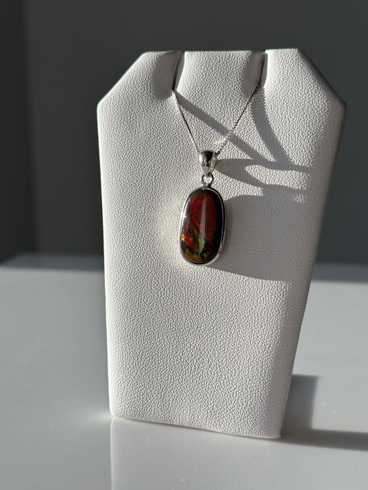 Ammolite | Pendant