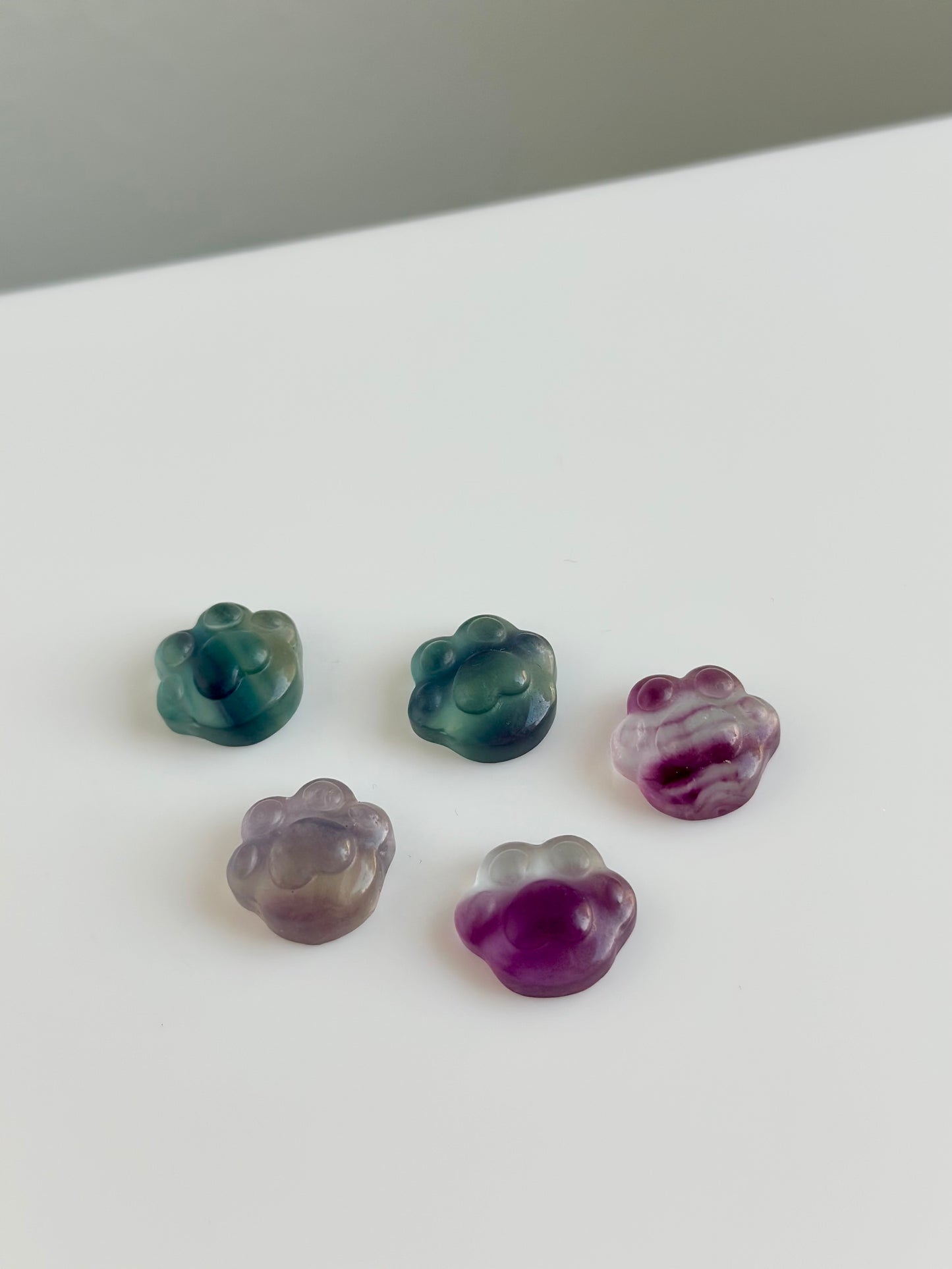 Fluorite | Mini Paws