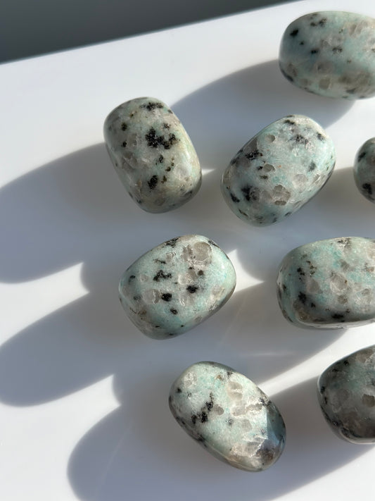 Kiwi Jasper | Tumble