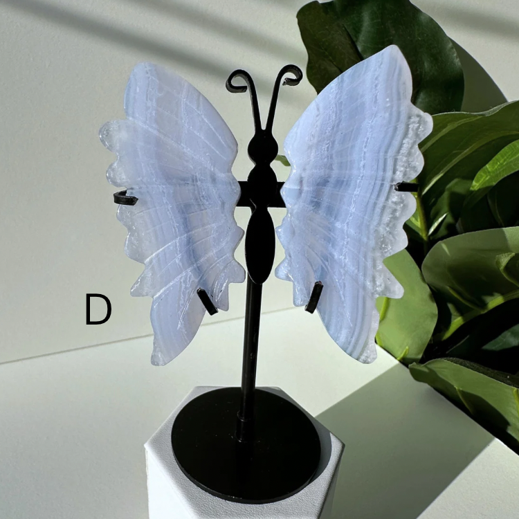 Blue Lace Agate | Butterfly Wings