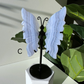 Blue Lace Agate | Butterfly Wings