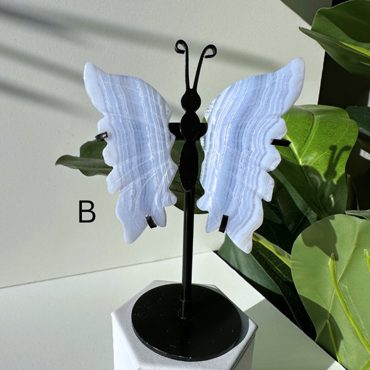 Blue Lace Agate | Butterfly Wings