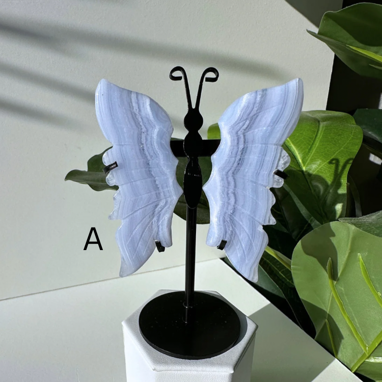Blue Lace Agate | Butterfly Wings