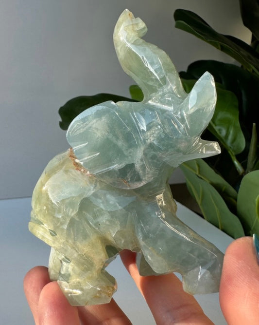 Blue Onyx | Elephant