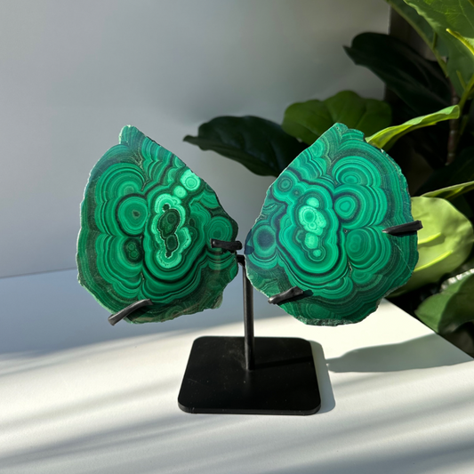 Malachite | Wings