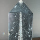 Orthoceras Fossil | Statement Tower