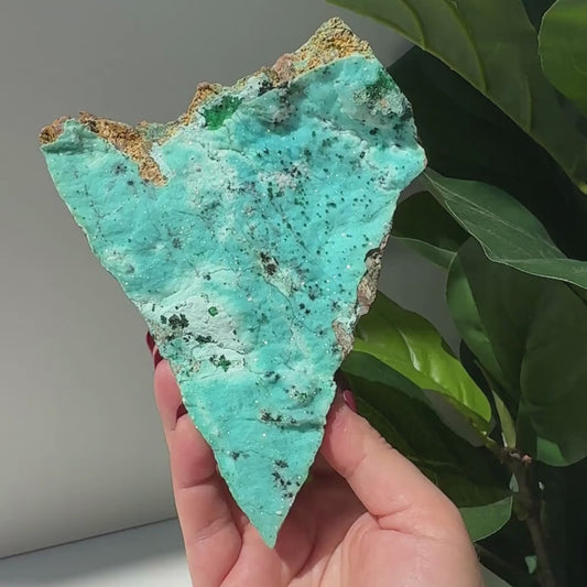 Druzy Chrysocolla x Malachite