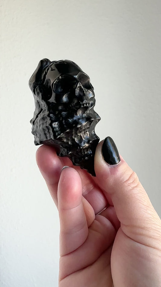 Obsidian | Shell Skull