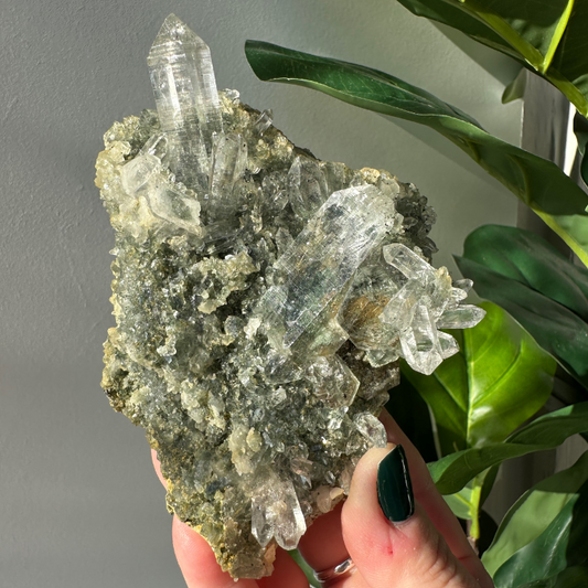 Himalayan Quartz | Cluster 04