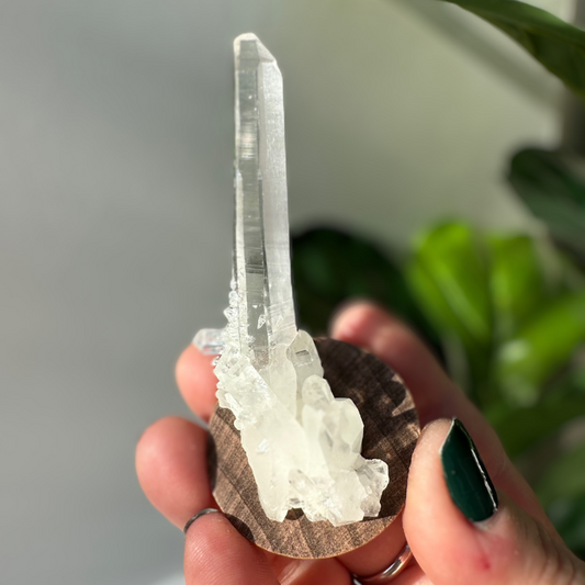 Lemurian Quartz | 01